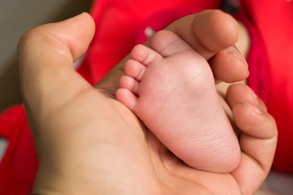 Baby been in de hand — Stockfoto