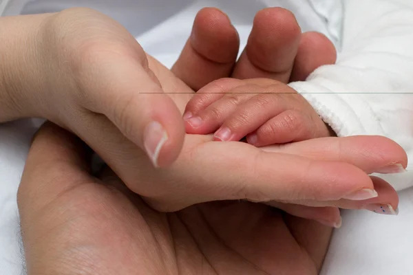 Familienhände — Stockfoto