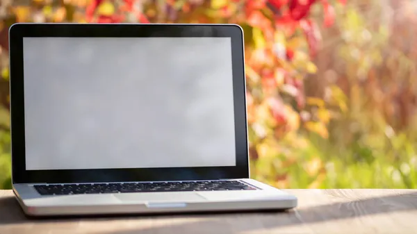 Laptop con schermo bianco su un tavolo nel giardino autunnale. Modello per annunci, design, pubblicità Foto Stock Royalty Free