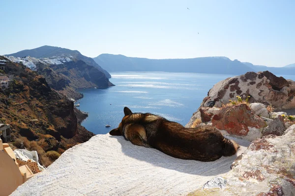 Santorini — Stok Foto