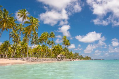 Brezilya 'nın kuzeydoğu kıyısında, Maragogi şehrinde güzel bir sahil..