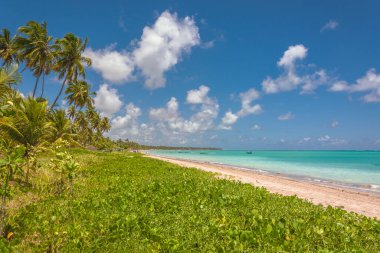 Brezilya 'nın kuzeydoğu kıyısında, Maragogi şehrinde güzel bir sahil..