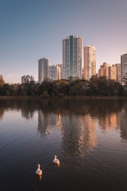 Detail of the Igap lake in the city of Londrina, southern Brazil, with buildings in the background. It is a place of leisure, which provides the practice of water sports.