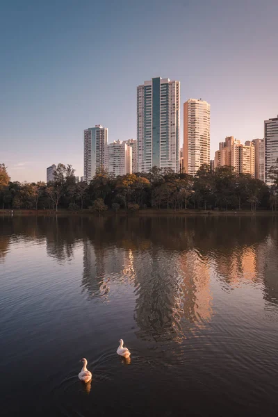 Detail Igap Lake City Londrina Southern Brazil Buildings Background Place — Fotografia de Stock