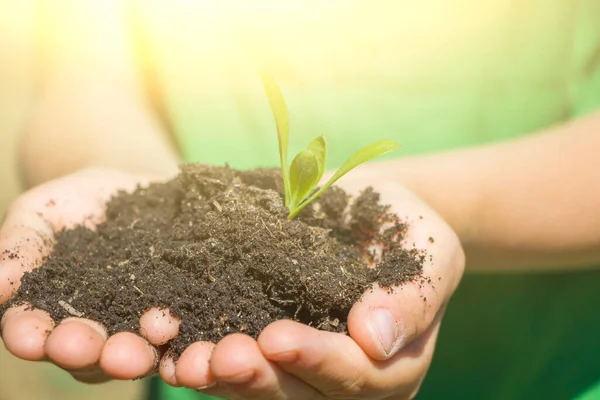Kinderen Handen Houden Grond Met Planten Zaailingen Milieu Earth Day — Stockfoto