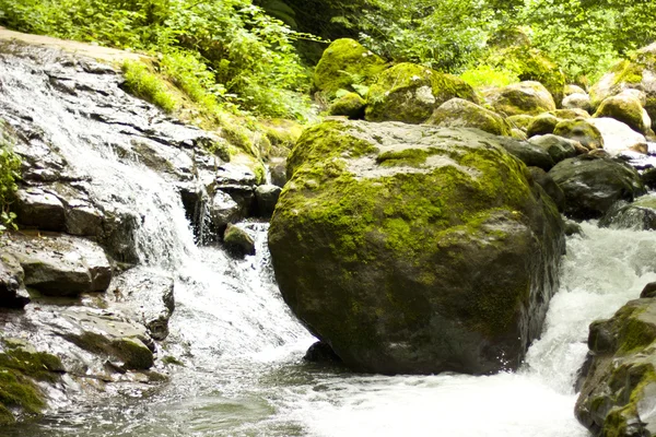 Гірській річці посеред зелені дерева — стокове фото