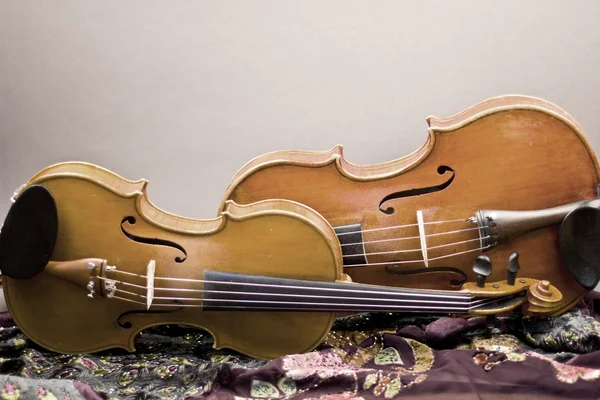 Belo violino deitado no chão — Fotografia de Stock