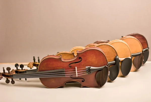 Beautiful violin lying on the floor — Stock Photo, Image