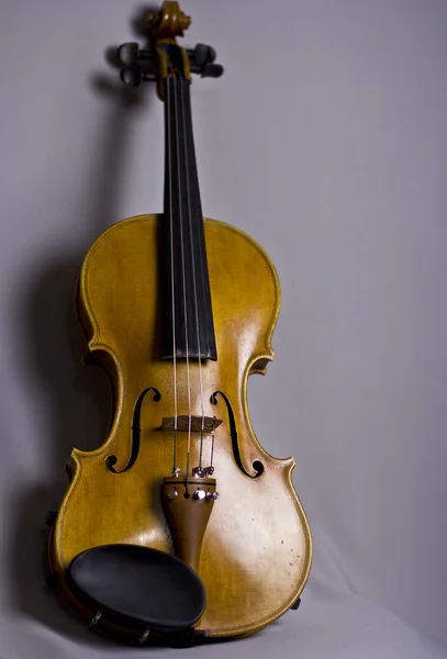 Beau violon fait main sur tissu gris . — Photo