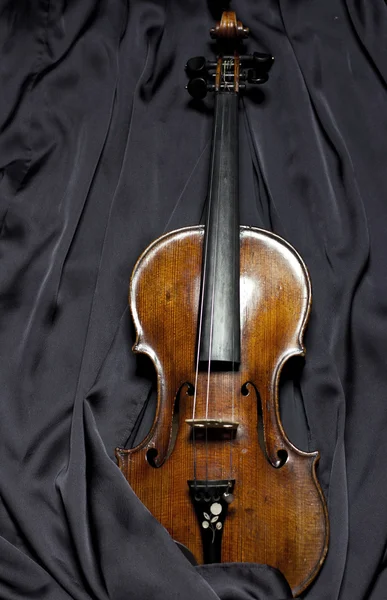 Hermoso violín bajo el oscuro velo —  Fotos de Stock