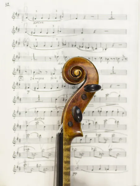 Vacker fiol på ett ark bakgrundsmusik. musikinstrument. stränginstrument. violin — Stockfoto