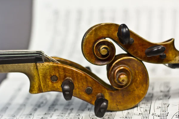 Belo violino em uma partitura de fundo. instrumento musical. instrumento de cordas. violino — Fotografia de Stock