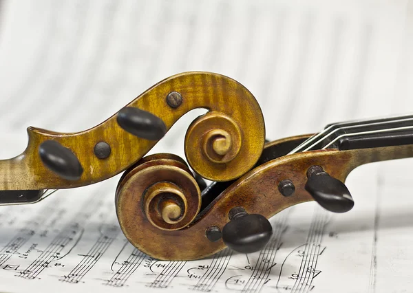 Красивая скрипка на фоновом ноте. музыкальный инструмент. струнный инструмент. скрипка — стоковое фото