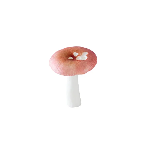 在白色背景下分离的粉红红花蘑菇 — 图库照片