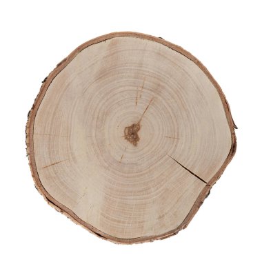 Ağaç testeresi beyaza saplanmış..