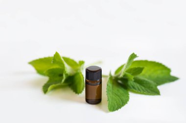 Beyaz arka planda nane esaslı yağ.