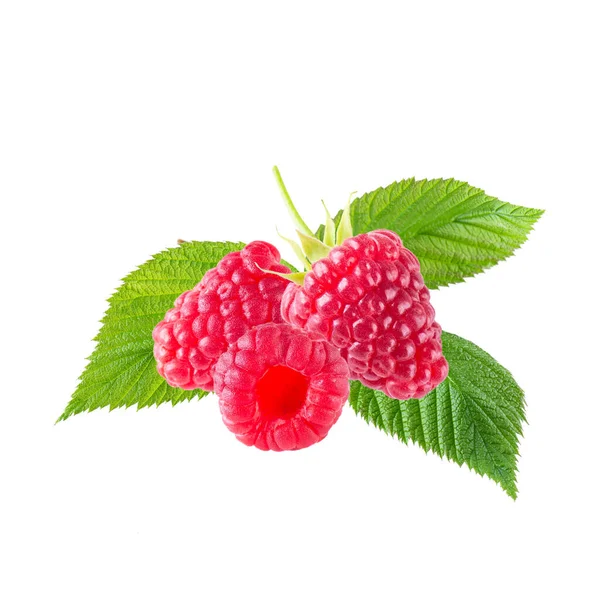 Flying Raspberries Isolated White Background — Stock Photo, Image