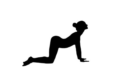 Beyaz arka planda izole edilmiş kedi pozu veren bir kadının silueti. Yoga, spor, asana.