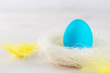 Mavi Paskalya yumurtası ahşap bir masada tüyleri olan bir yuvada.