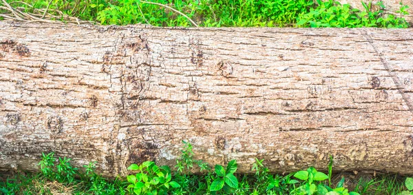 Madera aserrada — Foto de Stock