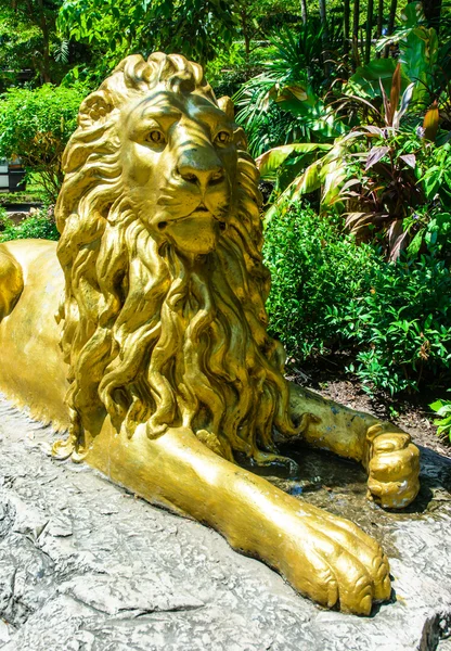 Front view golden lion statue — Stock Photo, Image