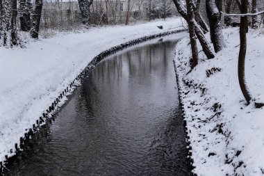 Güzel kış manzarası, karla kaplı ağaçlar, bir dere ve kıyı manzarası.