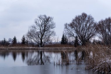 Karla kaplı ağaçlar ve göl manzaralı güzel kış manzarası.