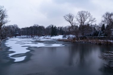 Güzel kış manzarası kısmen donmuş bir gölete ve soğuk bir kış gününde ağaçlara bakıyor.