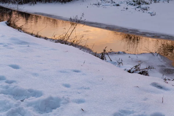 水面上一条小河的映照反映了冬日落日的金色天空 — 图库照片