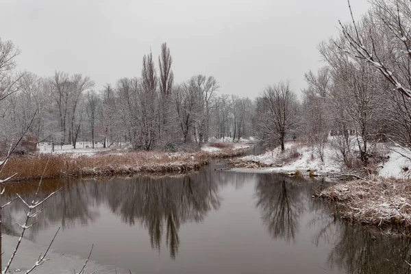 美丽的冬季风景 可以看到覆盖着积雪的树木和湖泊 — 图库照片