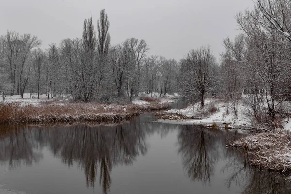 美丽的冬季风景 可以看到覆盖着积雪的树木和湖泊 — 图库照片