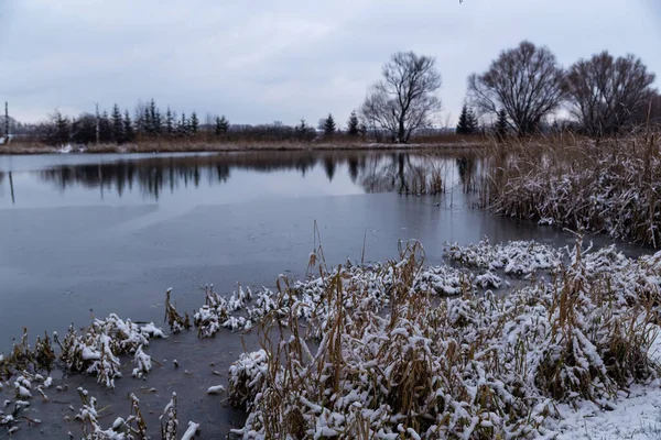 Beautiful Winter Landscape View Snow Covered Trees Lake — Foto Stock