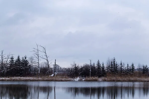 美丽的冬季风景 可以看到覆盖着积雪的树木和湖泊 — 图库照片