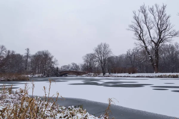 在寒冷的冬日 美丽的冬季风景俯瞰着一个部分冰冻的池塘和雪地里的树木 — 图库照片