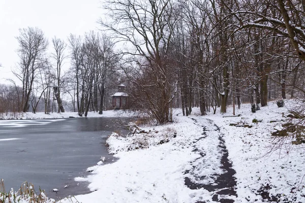 在寒冷的冬日 美丽的冬季风景俯瞰着一个部分冰冻的池塘和雪地里的树木 — 图库照片