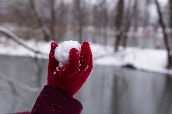 Рука Красной Перчатке Держит Снежный Ком — стоковое фото