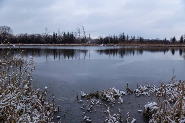 美丽的冬季风景 可以看到覆盖着积雪的树木和湖泊 图库图片