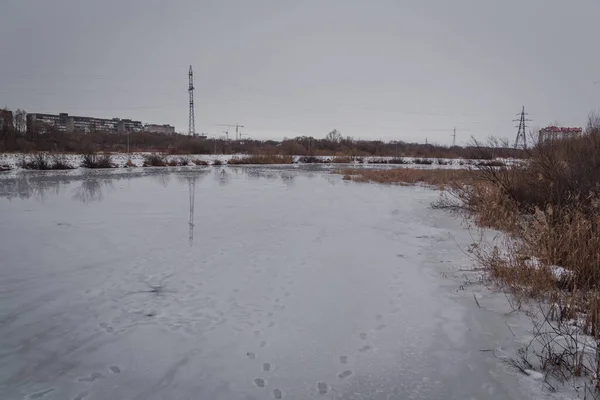 寒冷的湖面上覆盖着融化的雪灰的天空 光秃秃的树木 — 图库照片