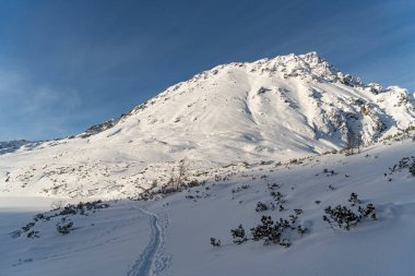 Tatras 'taki dağ manzarası, kar altında ezilen patikalar, soğuk güneşli havalarda karlı dağlara bakan Tatras Polonya