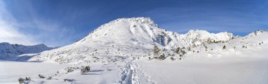 Tatras 'taki dağ manzarası, kar altında ezilen patikalar, soğuk güneşli havalarda karlı dağlara bakan Tatras Polonya