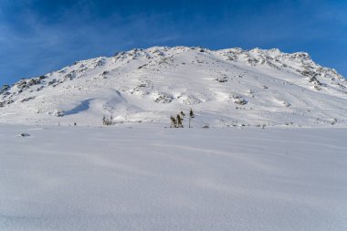 Tatras 'taki dağ manzarası, karla kaplı dağ manzarası, dondurucu güneşli hava.