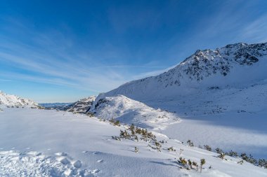 Tatras 'taki dağ manzarası, karla kaplı dağ manzarası, dondurucu güneşli hava.