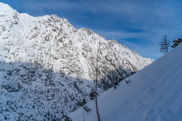 Paysage Hivernal Montagne Dans Les Tatras Vue Sur Montagne Couverte — Photo