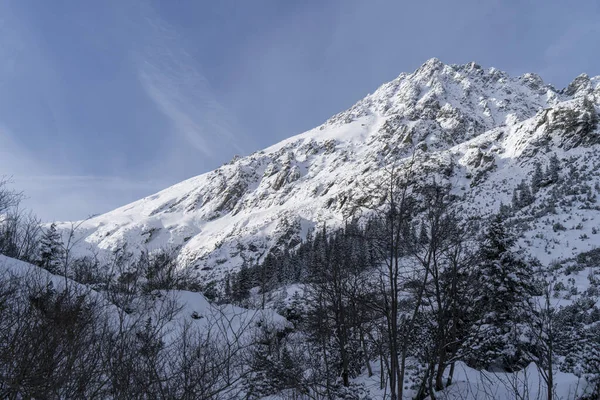 Горный Зимний Пейзаж Татрах Вид Горы Покрытый Снегом Морозную Солнечную — стоковое фото