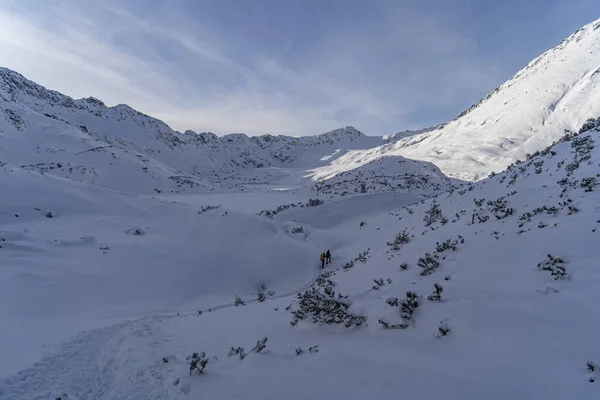 Paysage Hivernal Montagneux Dans Les Tatras Sentier Piétiné Dans Neige — Photo