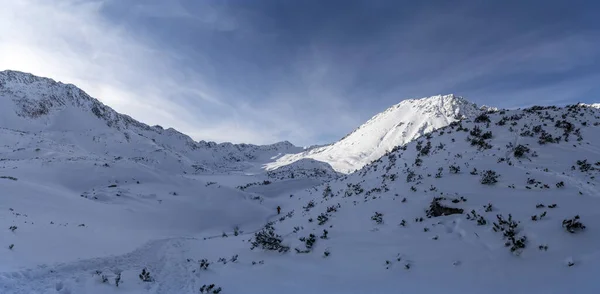 Paysage Hivernal Montagneux Dans Les Tatras Sentier Piétiné Dans Neige — Photo