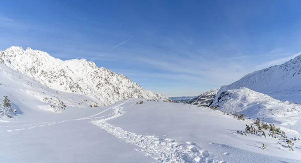 Berg Vinter Landskap Tatras Spår Trampas Snön Med Utsikt Över — Stockfoto