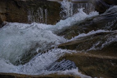 Yaremche Ukrayna 'daki Karpat dağlarında nehir akıntıları