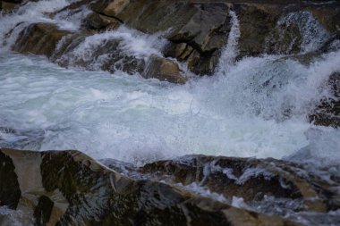 Yaremche Ukrayna 'daki Karpat dağlarında nehir akıntıları