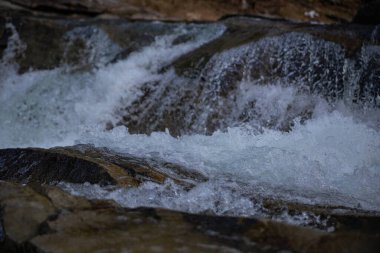 Yaremche Ukrayna 'daki Karpat dağlarında nehir akıntıları